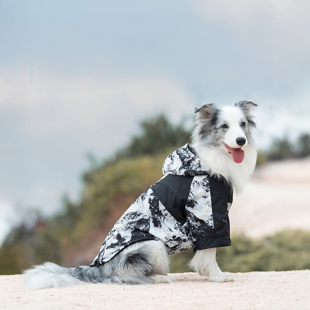 Thick Cotton Printed Dog Jacket - Stylish and warm for outdoor adventures