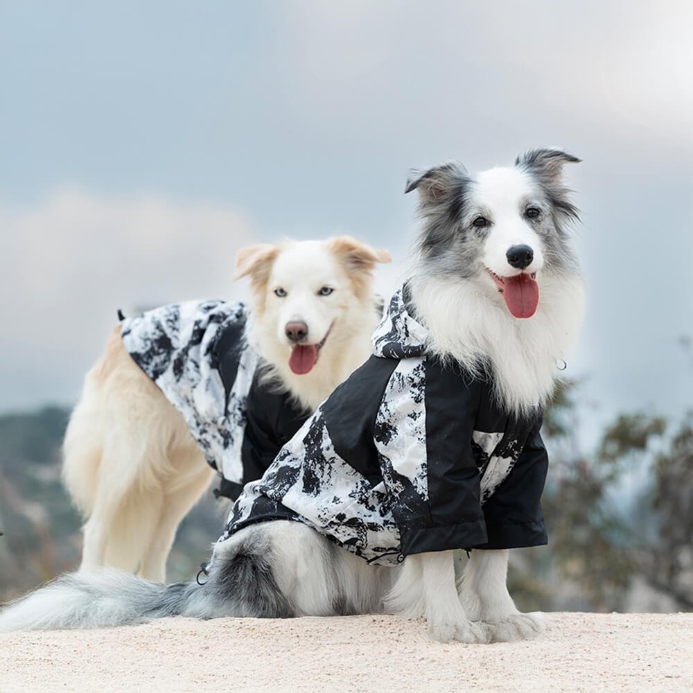 Thick Cotton Printed Dog Jacket - Stylish and warm for outdoor adventures