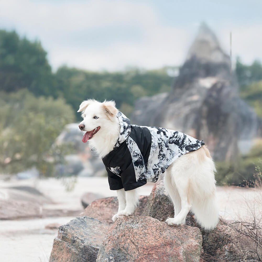 Thick Cotton Printed Dog Jacket - Stylish and warm for outdoor adventures